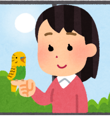 手乗りセキセイインコ