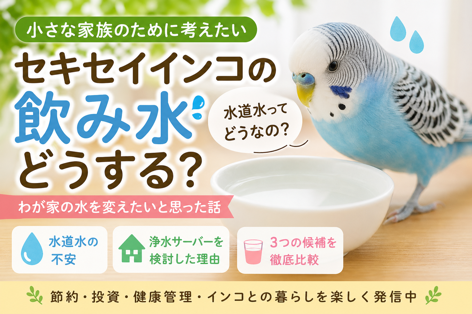 セキセイインコの飲水どうしている？