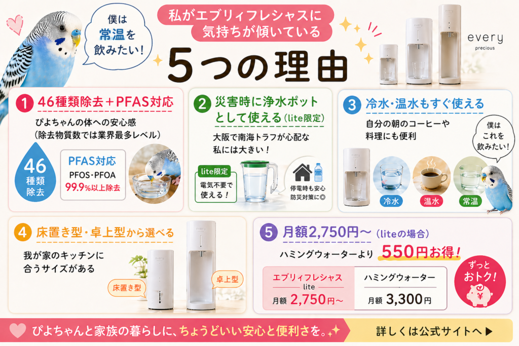 エブリィフレシャスを選ぶ人が多い5つの理由