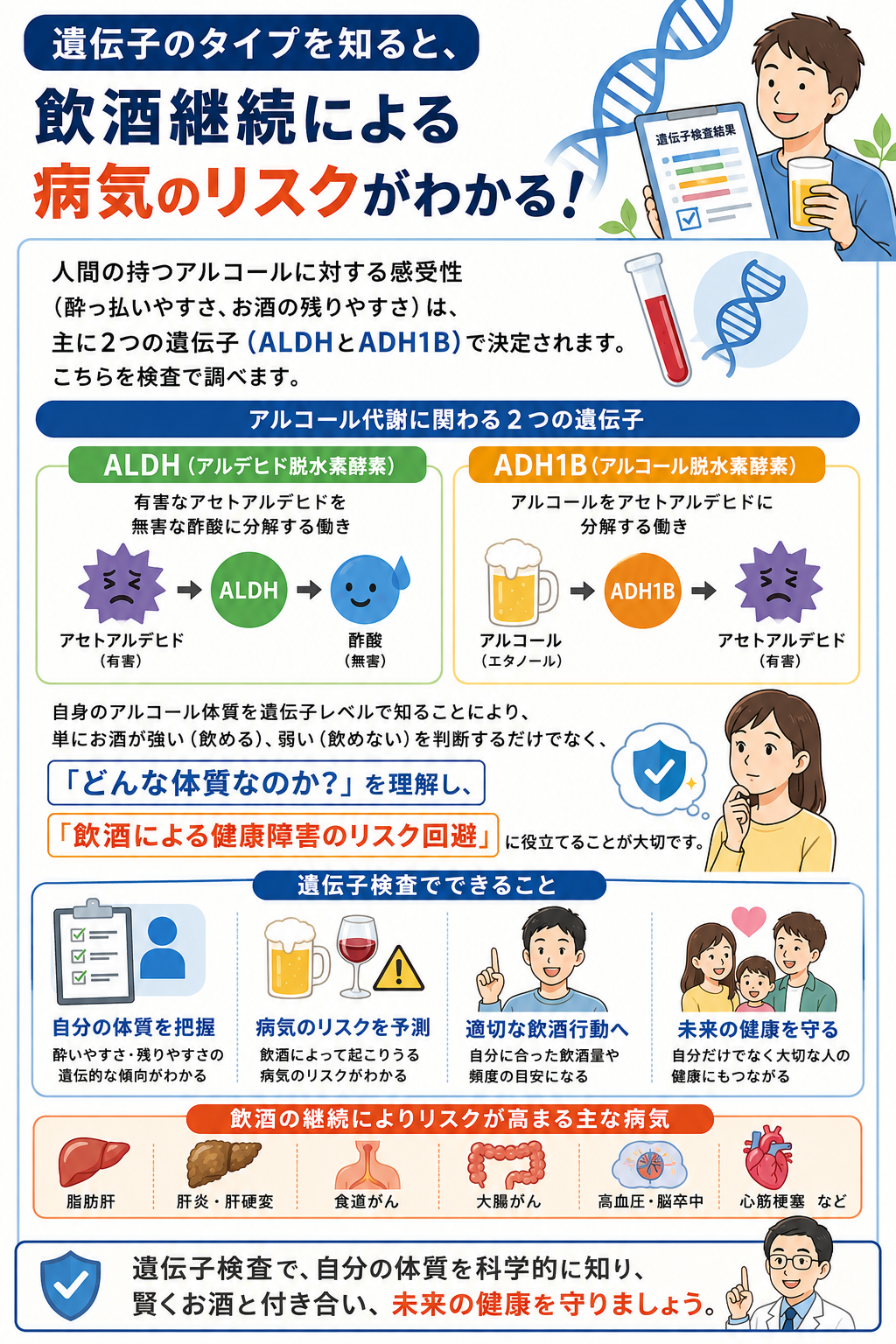 アルコール遺伝子検査でわかる飲酒継続による病気リスク｜ALDH（アルデヒド脱水素酵素）とADH1B（アルコール脱水素酵素）の働き｜脂肪肝・肝炎・肝硬変・食道がん・大腸がん・高血圧・脳卒中・心筋梗塞のリスク