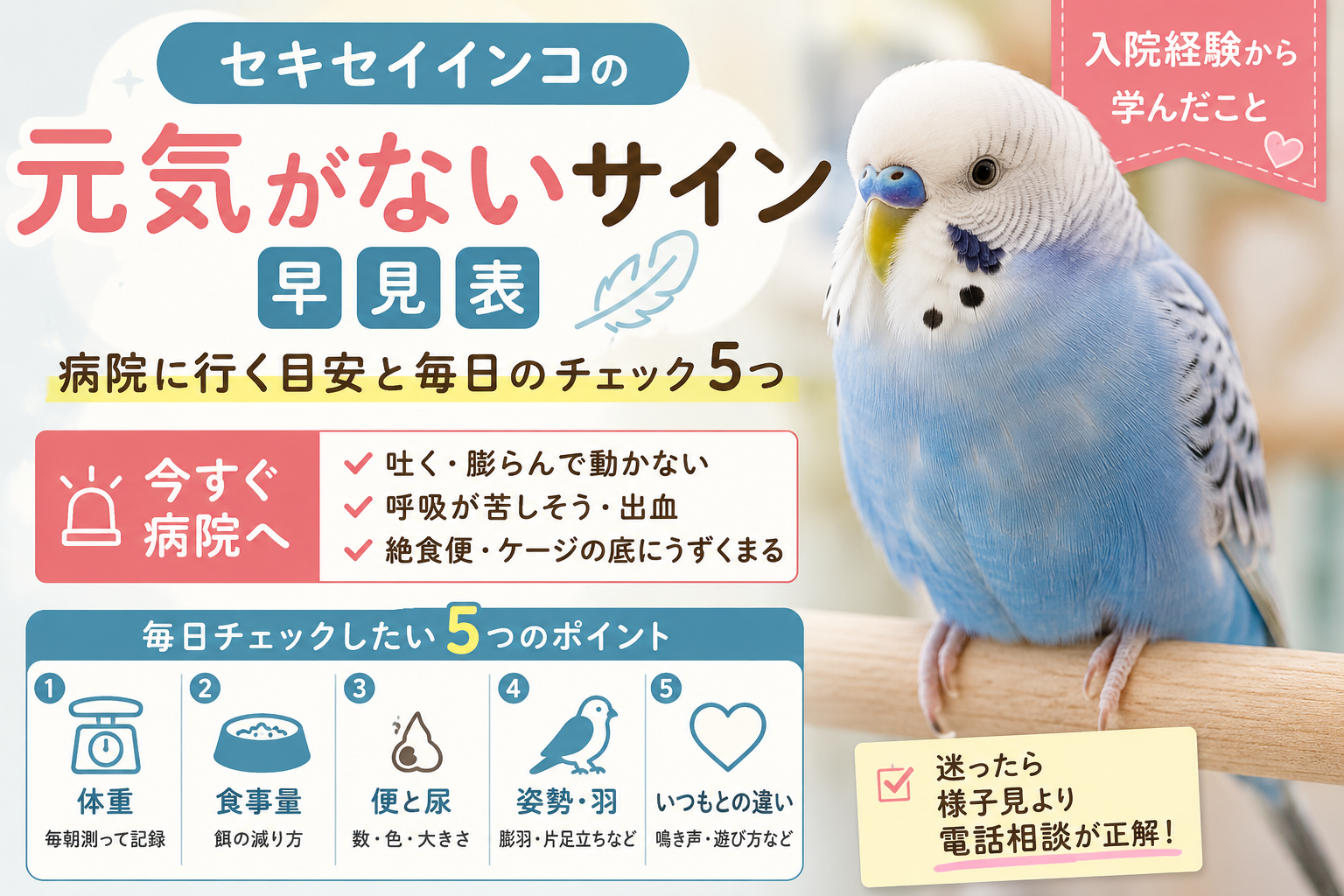 元気がないセキセイインコ